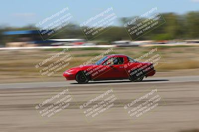 media/Oct-04-2025-OnGrid (Sat) [[44bd565ffa]]/Green Group/Grapevine/